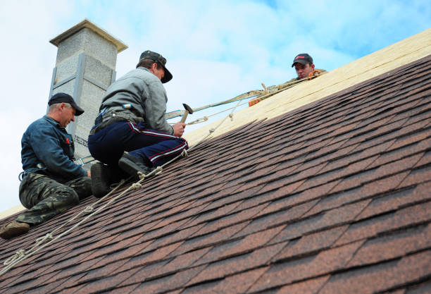 Best Metal Roofing Contractor  in Houma, LA